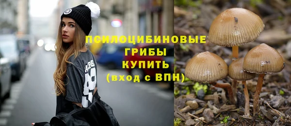 spice Белокуриха
