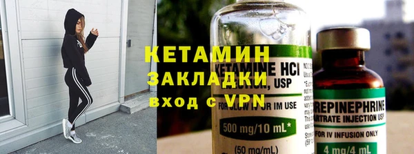сатива Беломорск