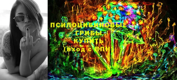 spice Белокуриха