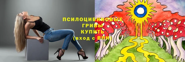 spice Белокуриха