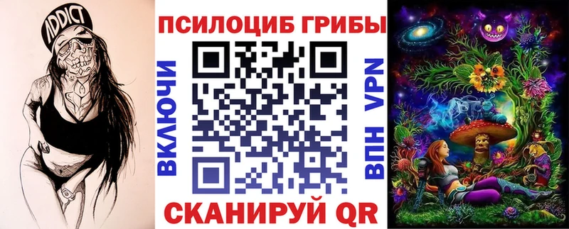 цена наркотик  Гулькевичи  Псилоцибиновые грибы Psilocybine cubensis 